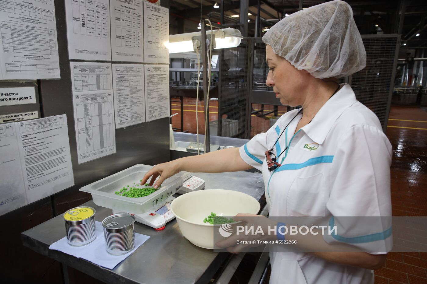 Производство горошка на предприятии "Бондюэль-Кубань"