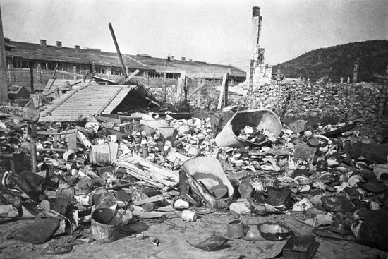 Великая Отечественная война 1941-1945 гг.