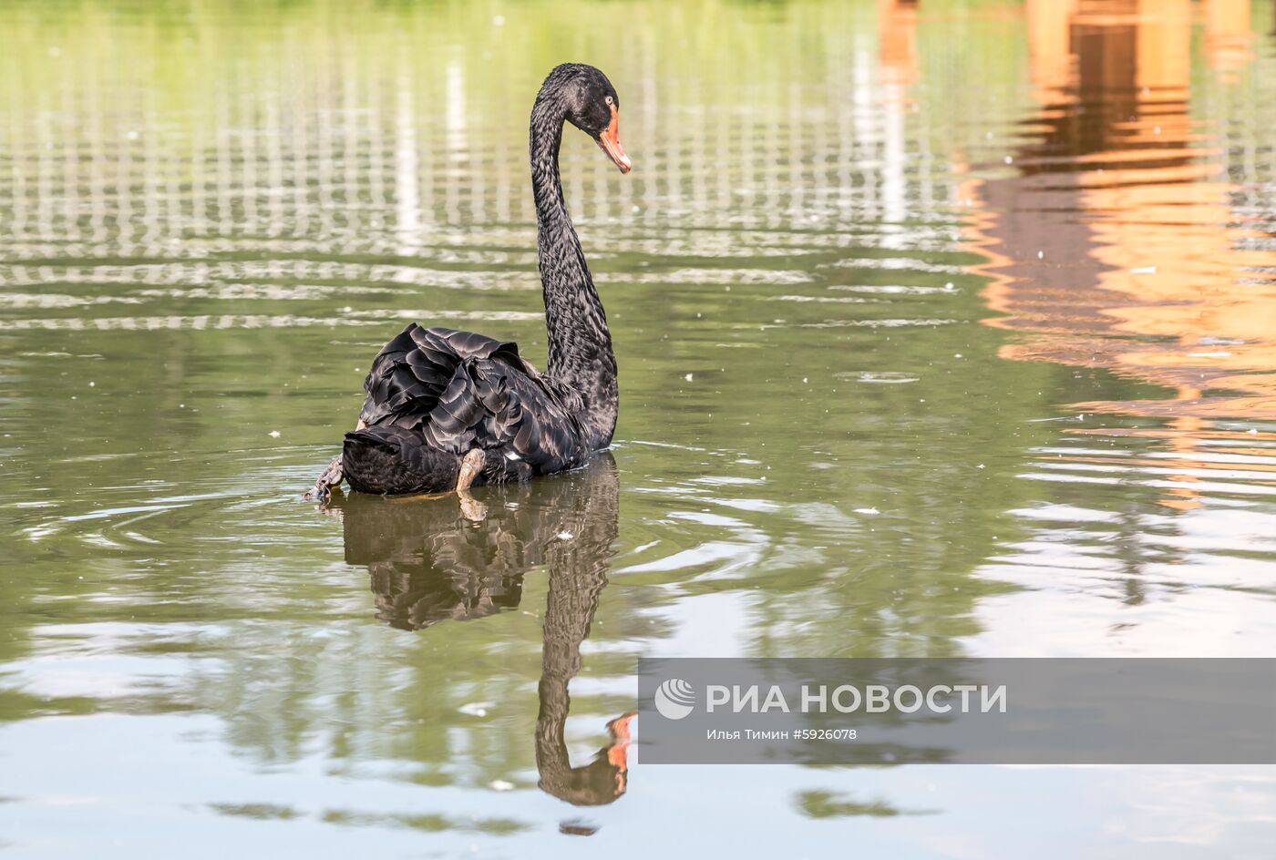 Карельский зоопарк 