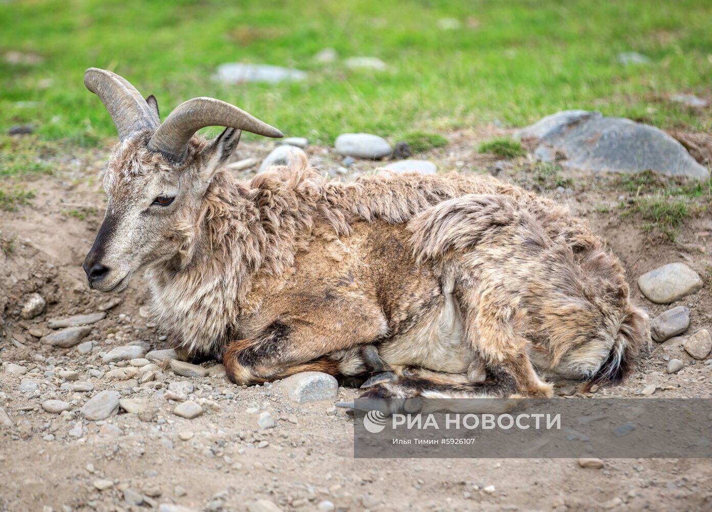 Карельский зоопарк