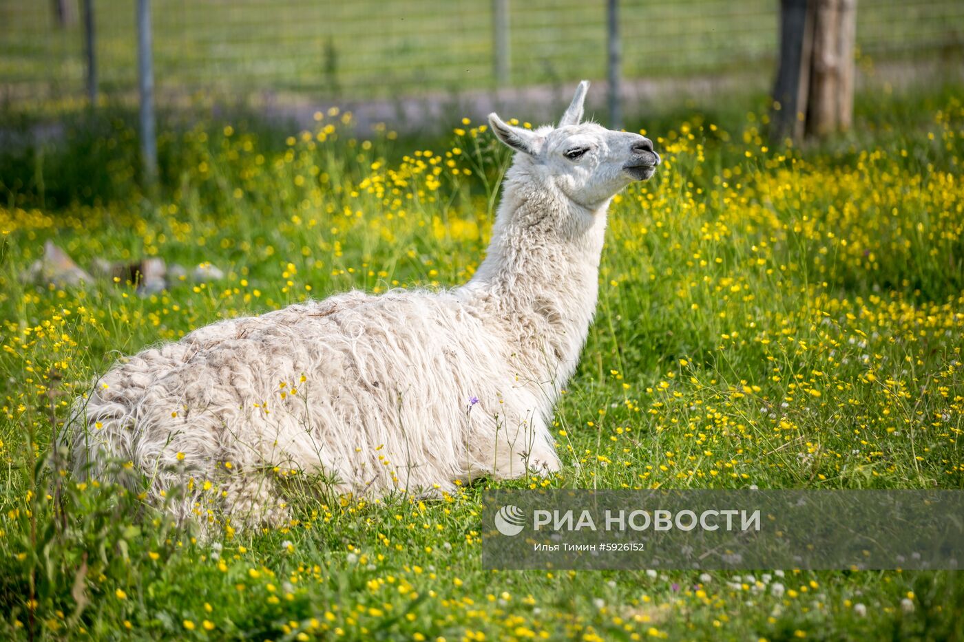 Карельский зоопарк 