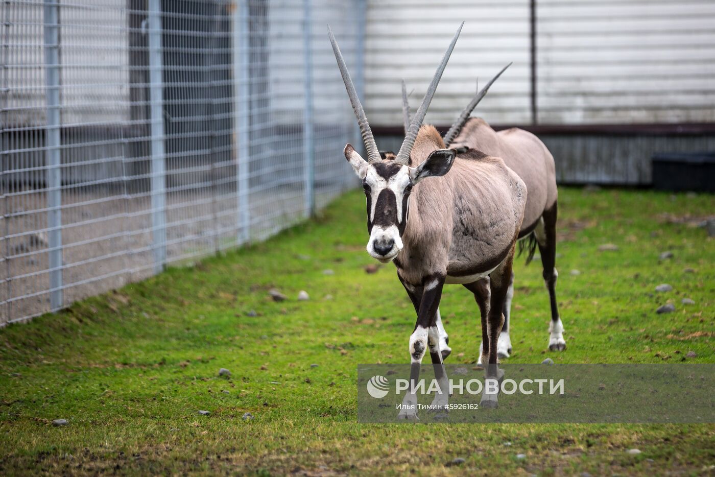 Карельский зоопарк 