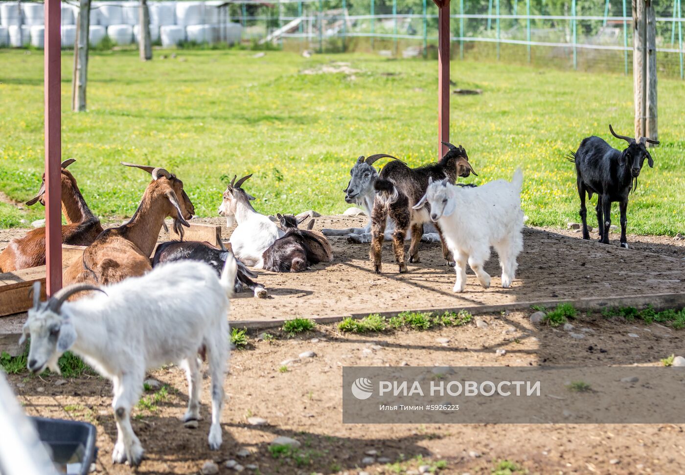 Карельский зоопарк 