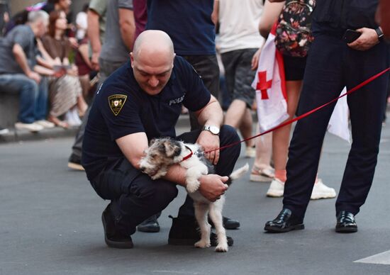  Акция протеста в Тбилиси