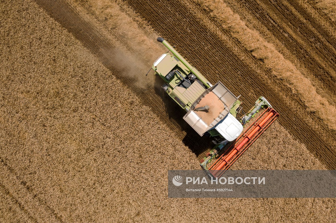 Уборка пшеницы в Краснодарском крае
