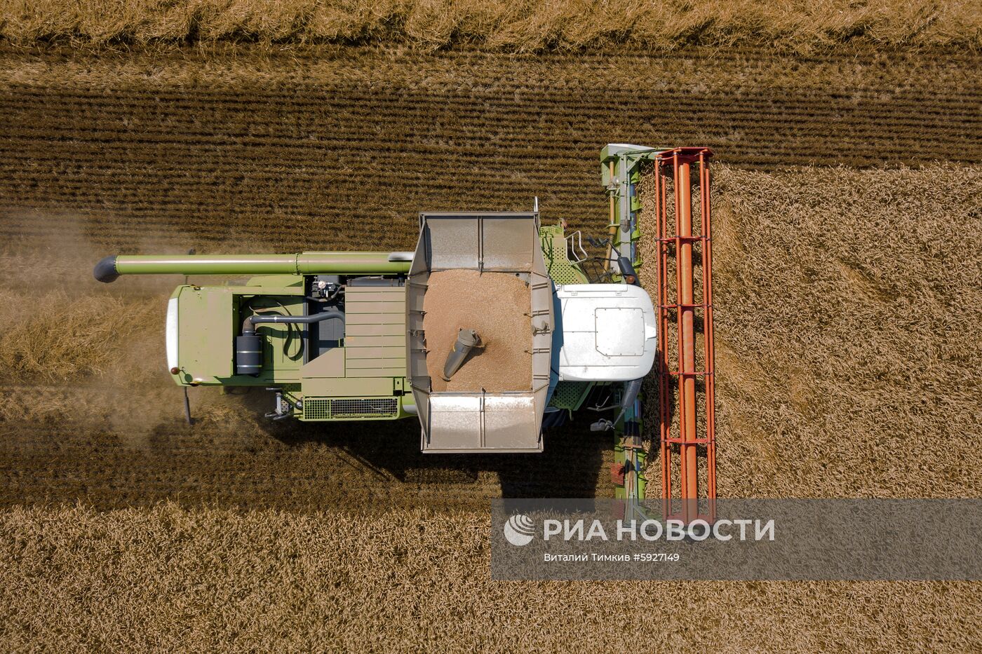 Уборка пшеницы в Краснодарском крае