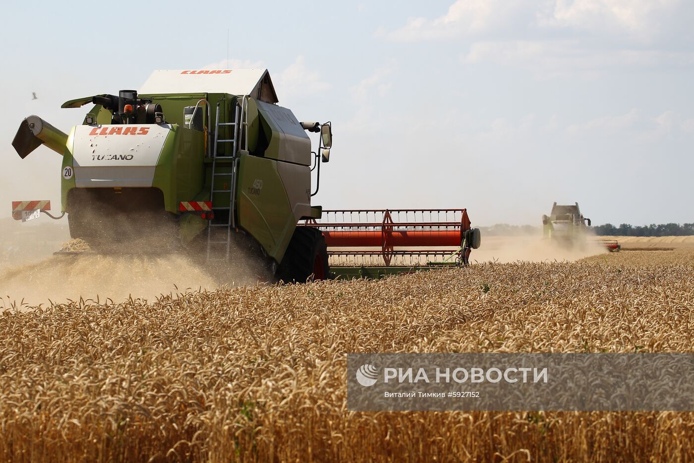 Уборка пшеницы в Краснодарском крае