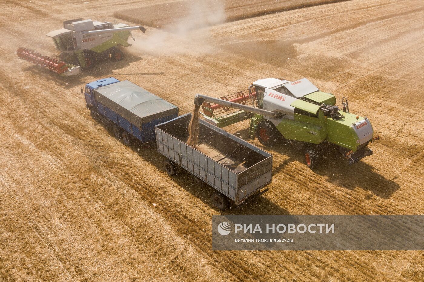 Уборка пшеницы в Краснодарском крае