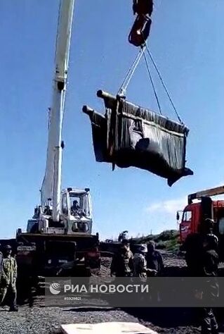 Косаток и белух выпустили на волю в Хабаровском крае
