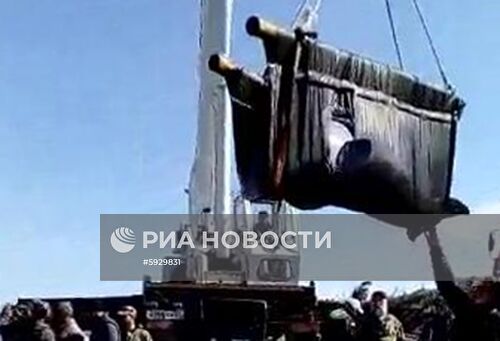 Косаток и белух выпустили на волю в Хабаровском крае