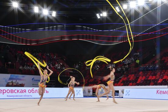 Центр художественной гимнастики (ЦХГ) имени И. Винер-Усмановой 