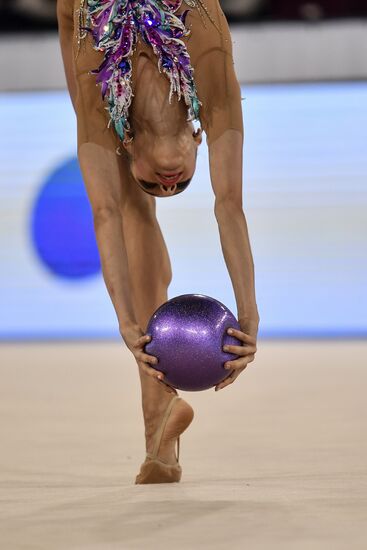 Контрольная тренировка кандидатов в сборную России по художественной гимнастике