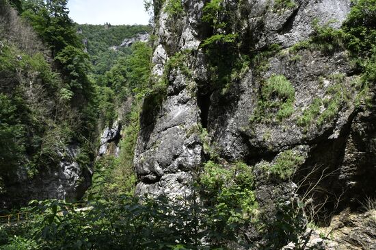 Гуамское ущелье в Краснодарском крае