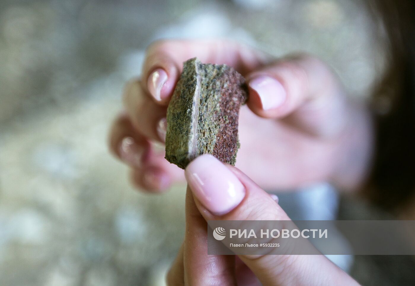 Раскопки динозавров в Амурской области