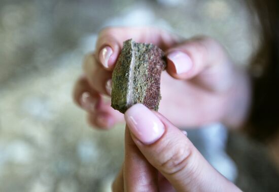 Раскопки динозавров в Амурской области