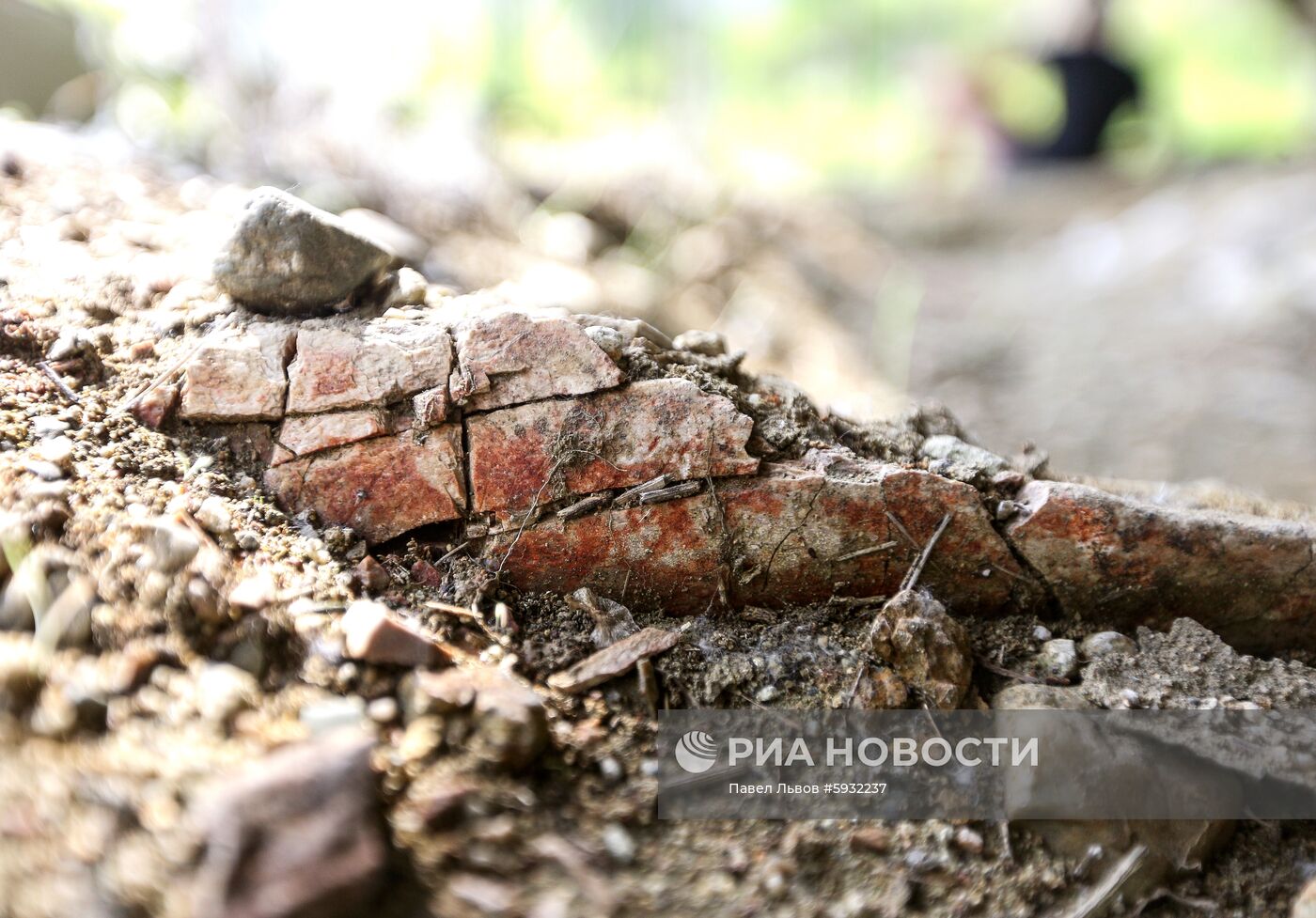 Раскопки динозавров в Амурской области