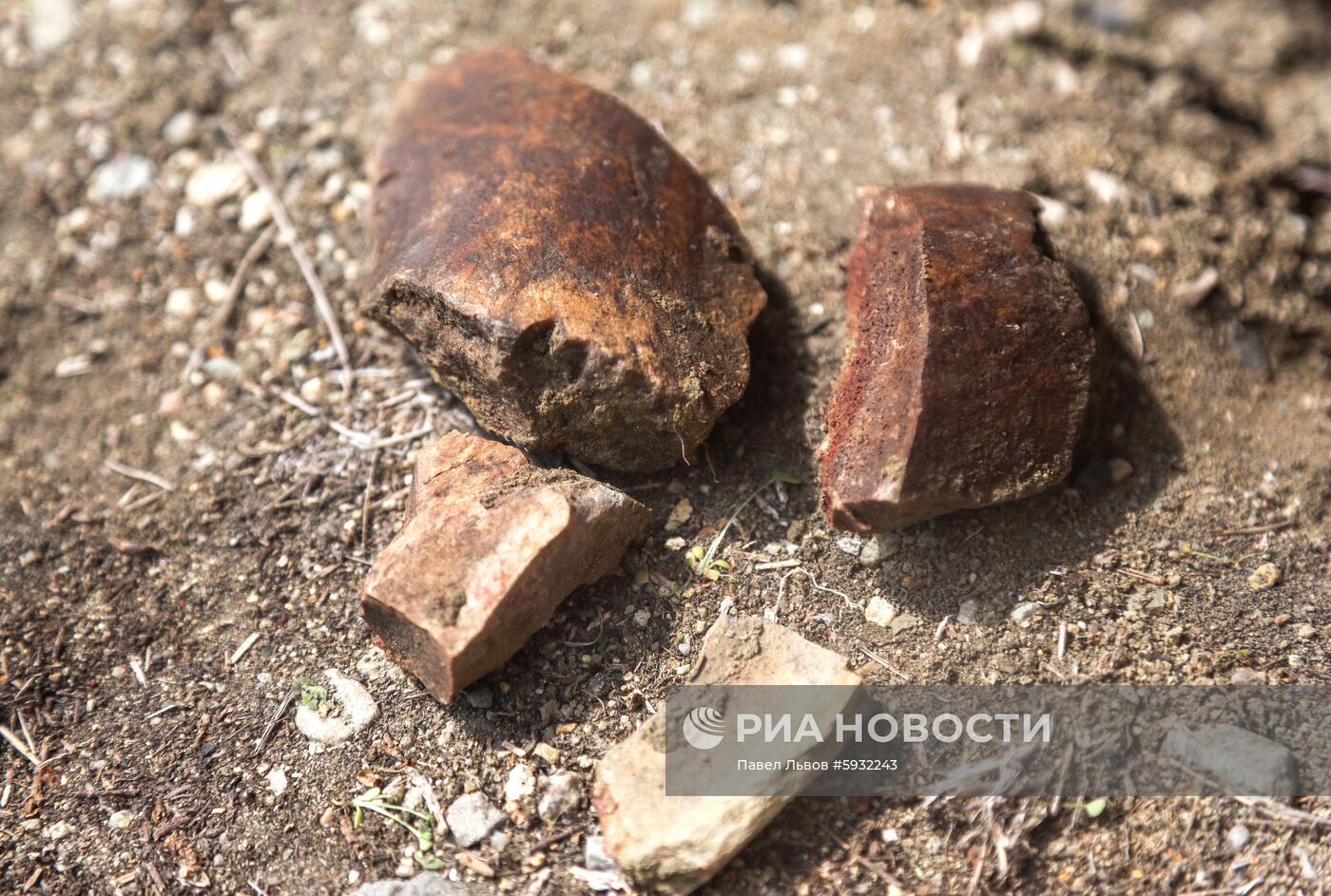 Раскопки динозавров в Амурской области