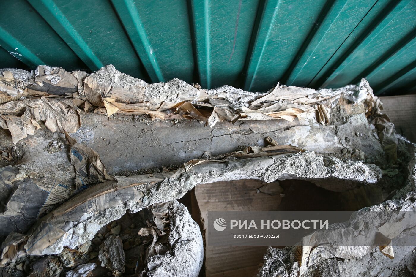 Раскопки динозавров в Амурской области