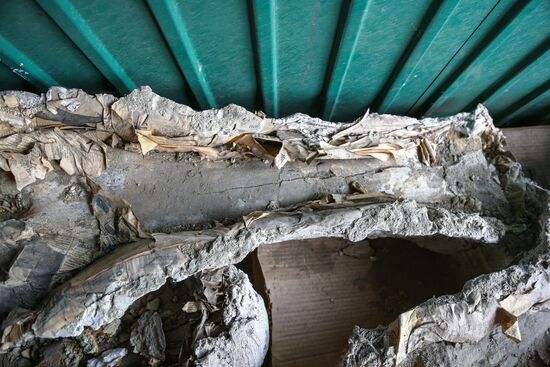 Раскопки динозавров в Амурской области