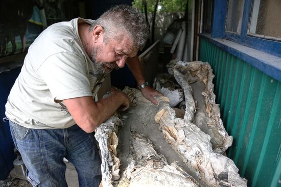 Раскопки динозавров в Амурской области