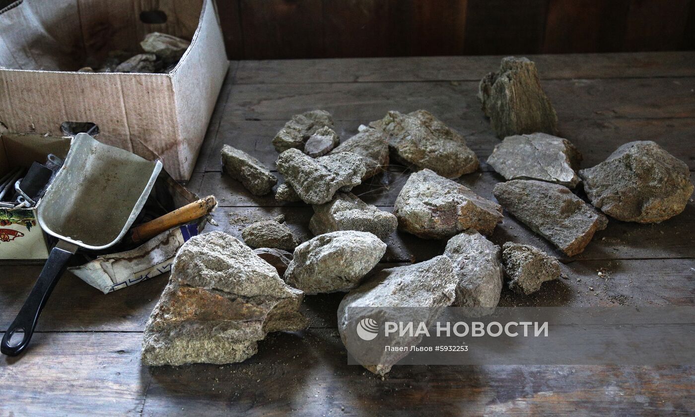 Раскопки динозавров в Амурской области