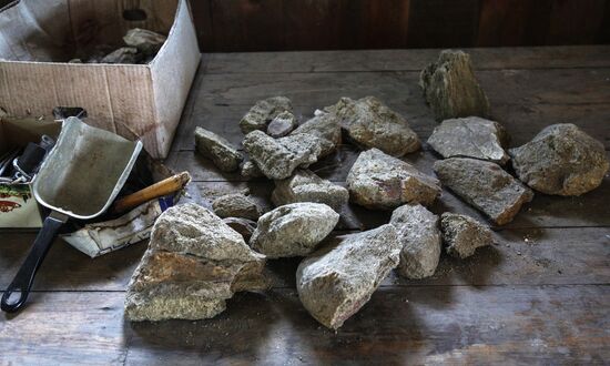 Раскопки динозавров в Амурской области