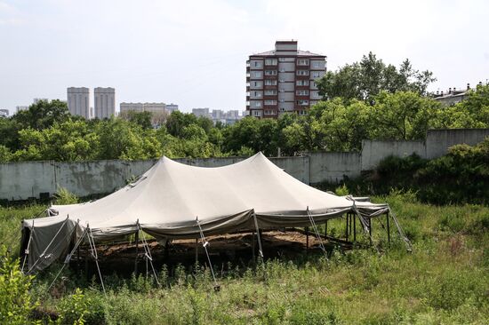 Раскопки динозавров в Амурской области