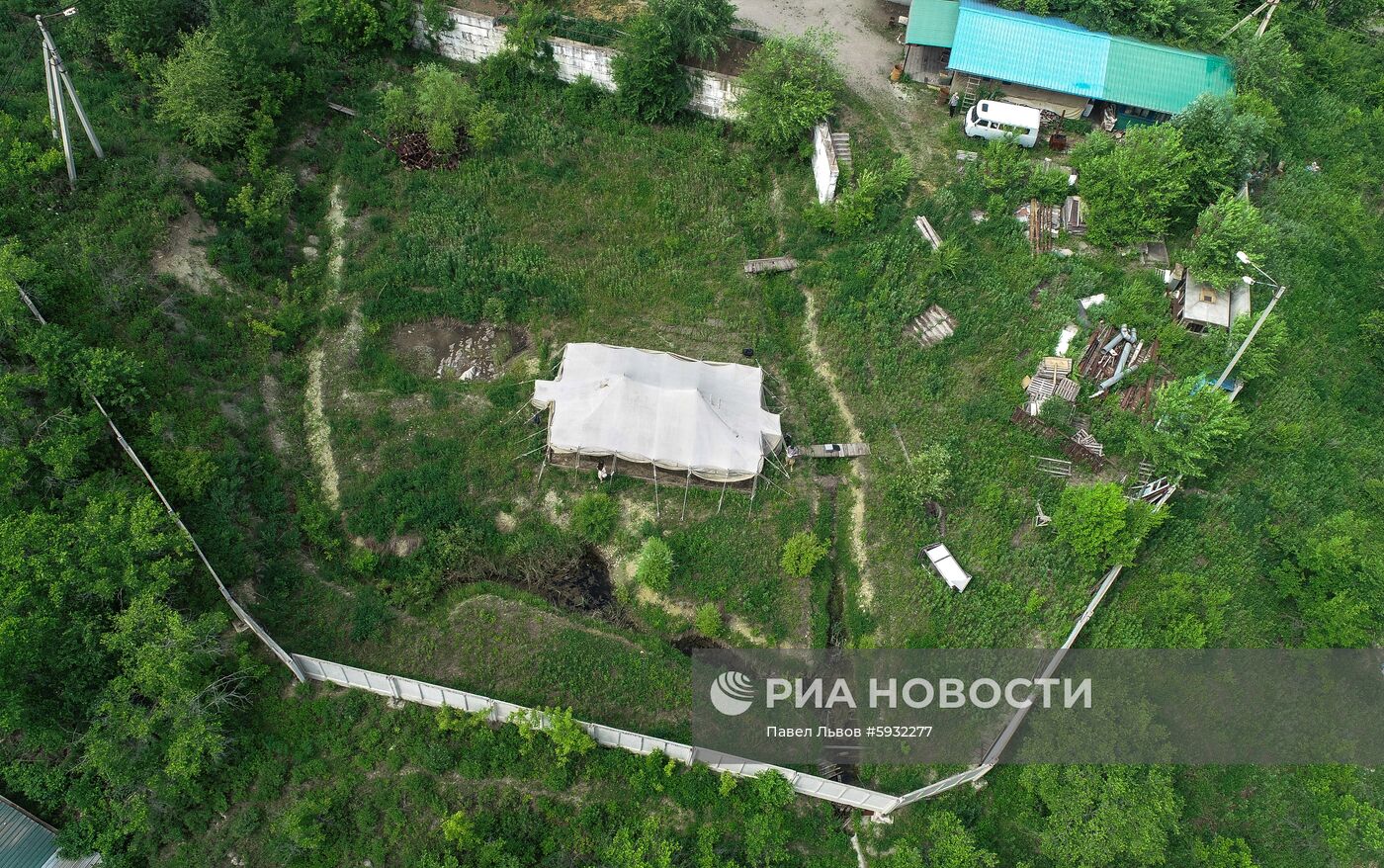 Раскопки динозавров в Амурской области