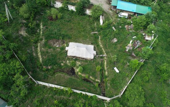 Раскопки динозавров в Амурской области