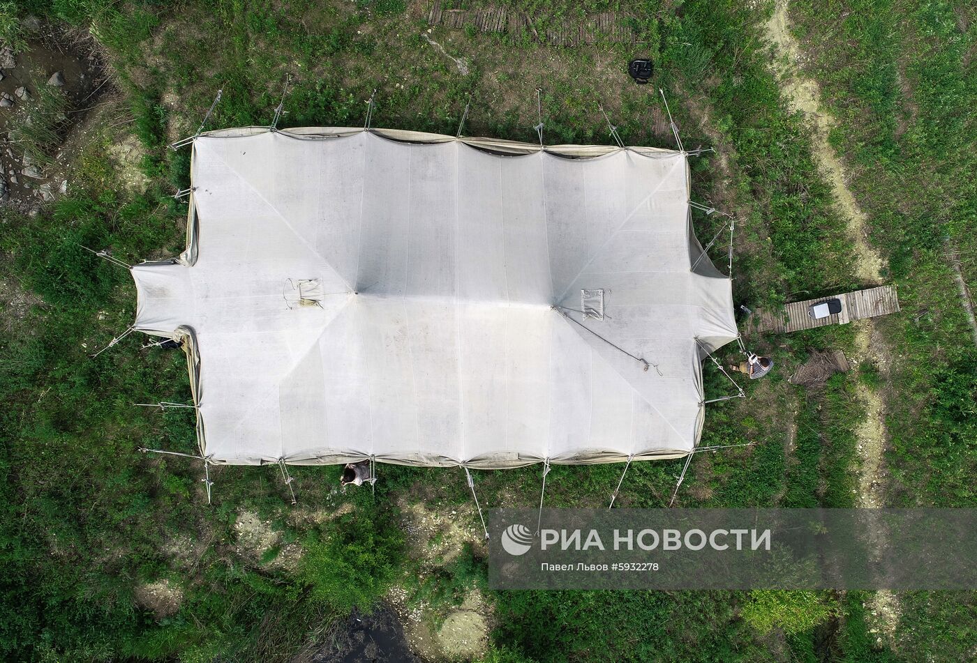 Раскопки динозавров в Амурской области