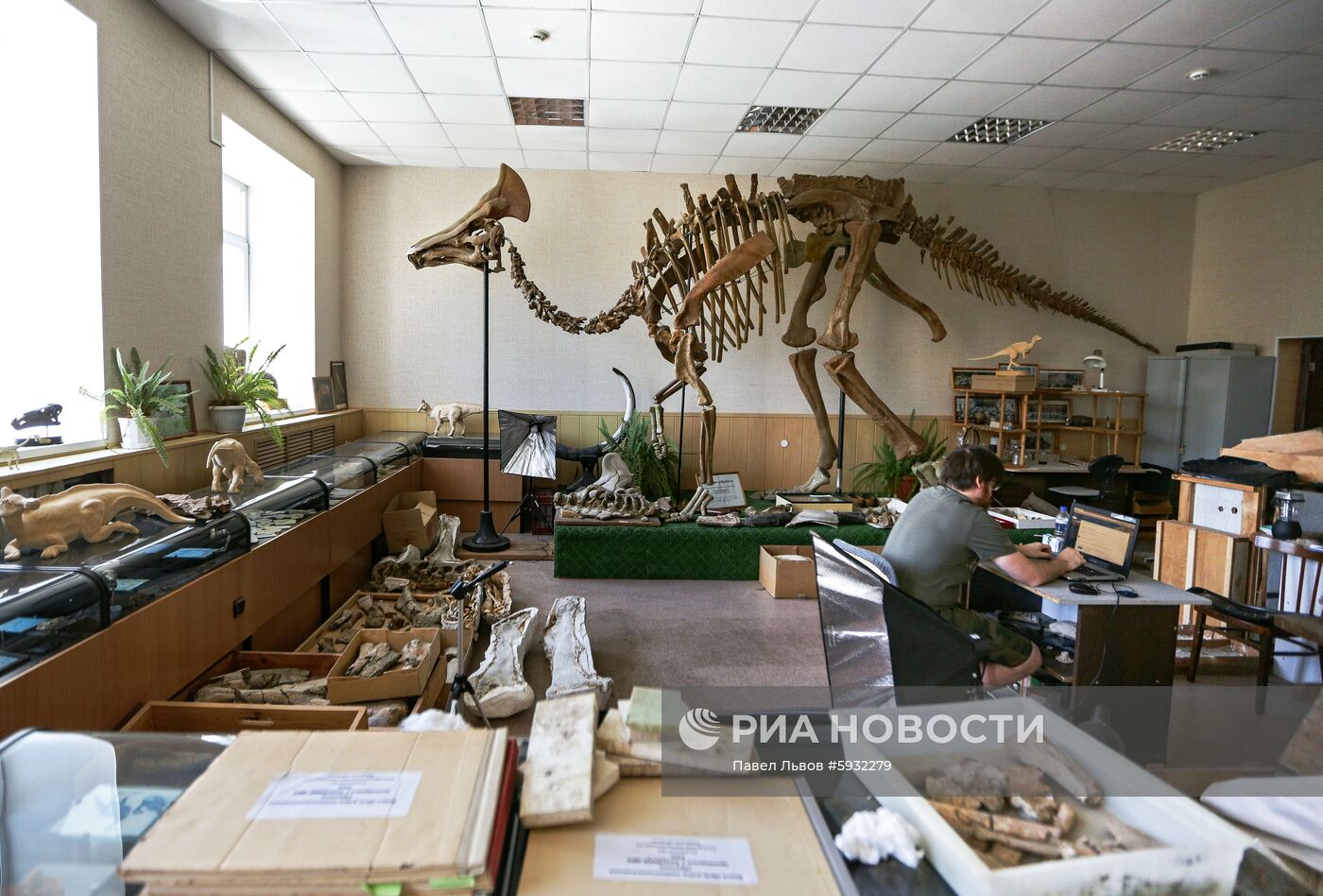 Раскопки динозавров в Амурской области