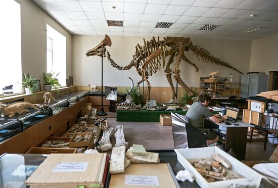 Раскопки динозавров в Амурской области