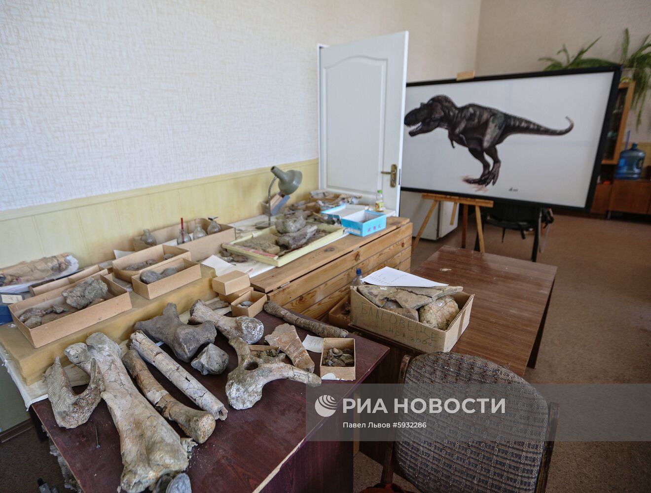 Раскопки динозавров в Амурской области