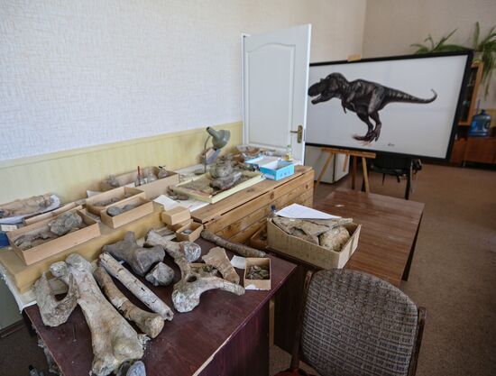 Раскопки динозавров в Амурской области