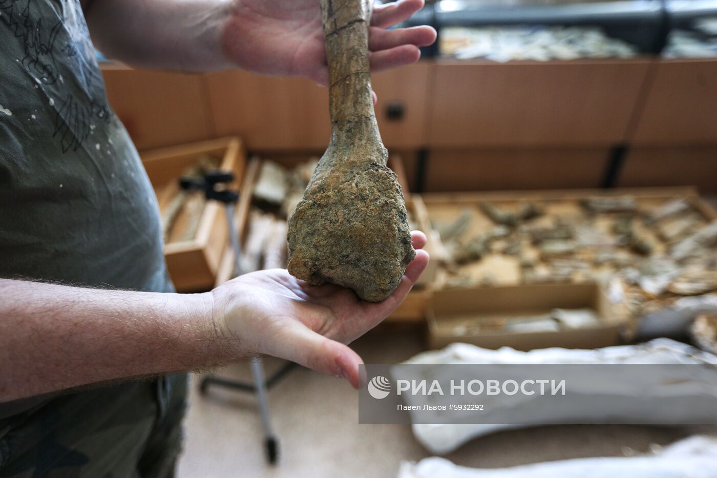 Раскопки динозавров в Амурской области