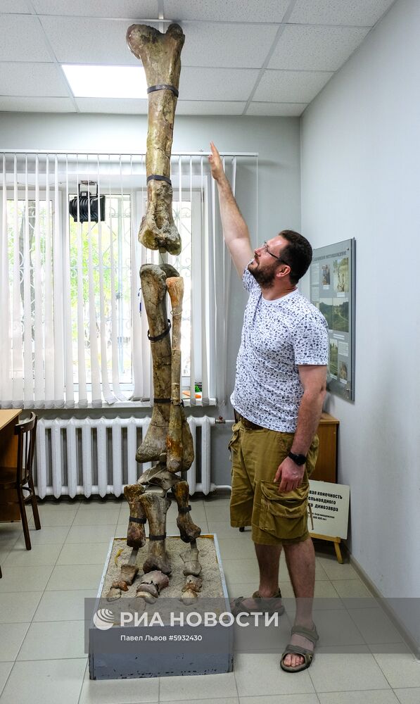 Раскопки динозавров в Амурской области