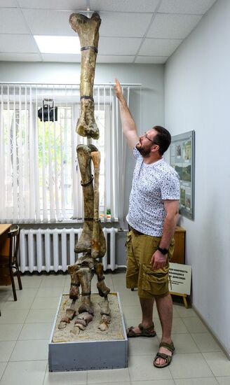 Раскопки динозавров в Амурской области