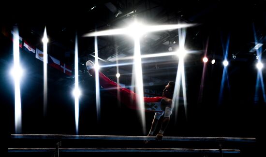 II Европейские игры. Спортивная гимнастика. Многоборье