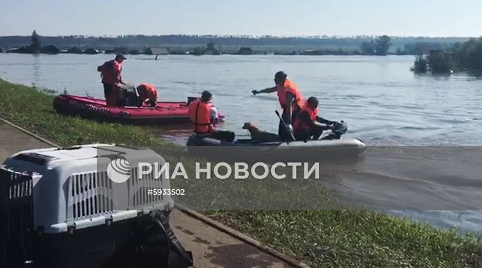 Ситуация в зоне подтопления в Иркутской области