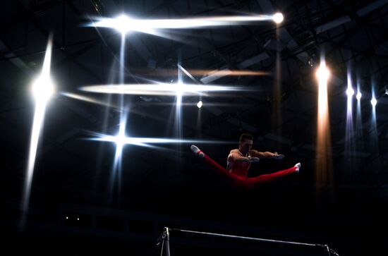 II Европейские игры. Спортивная гимнастика. Отдельные виды