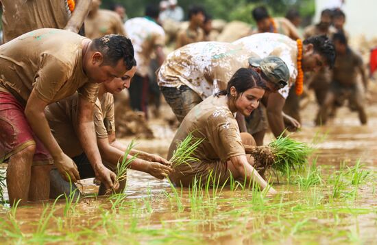 Праздник посадки риса Асар Пандра в Непале