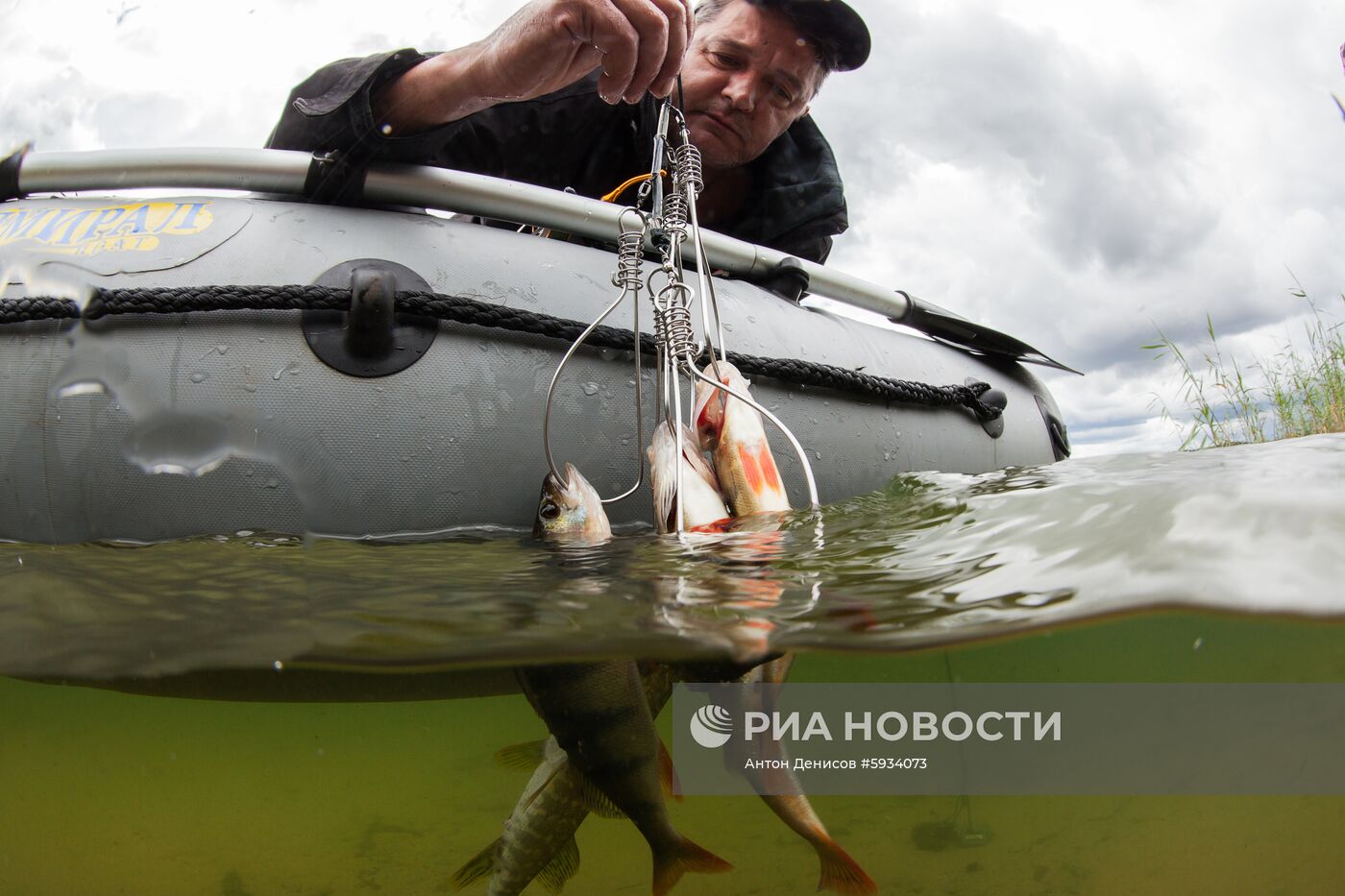 Лов рыбы в Тверской области