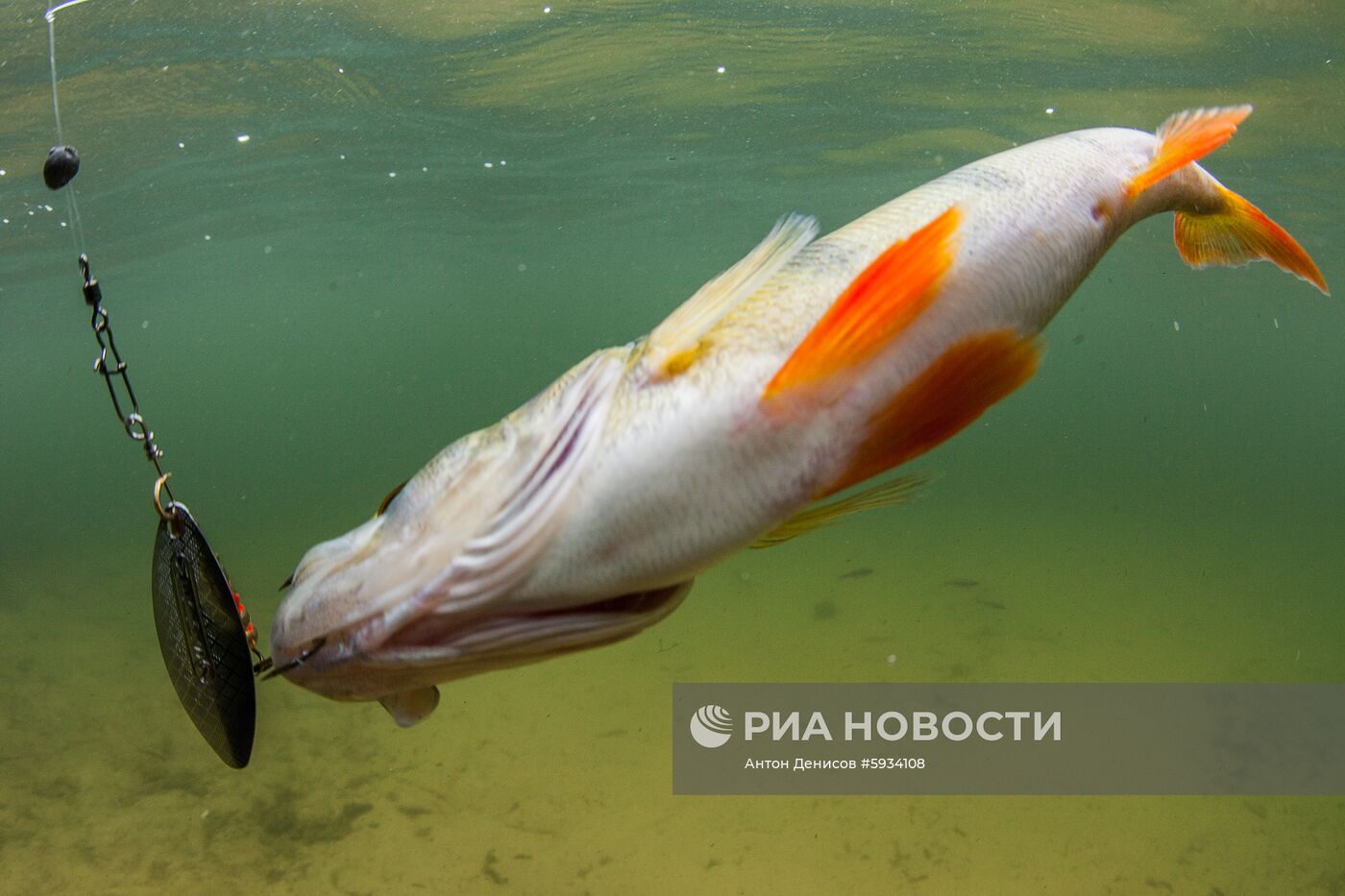 Лов рыбы в Тверской области