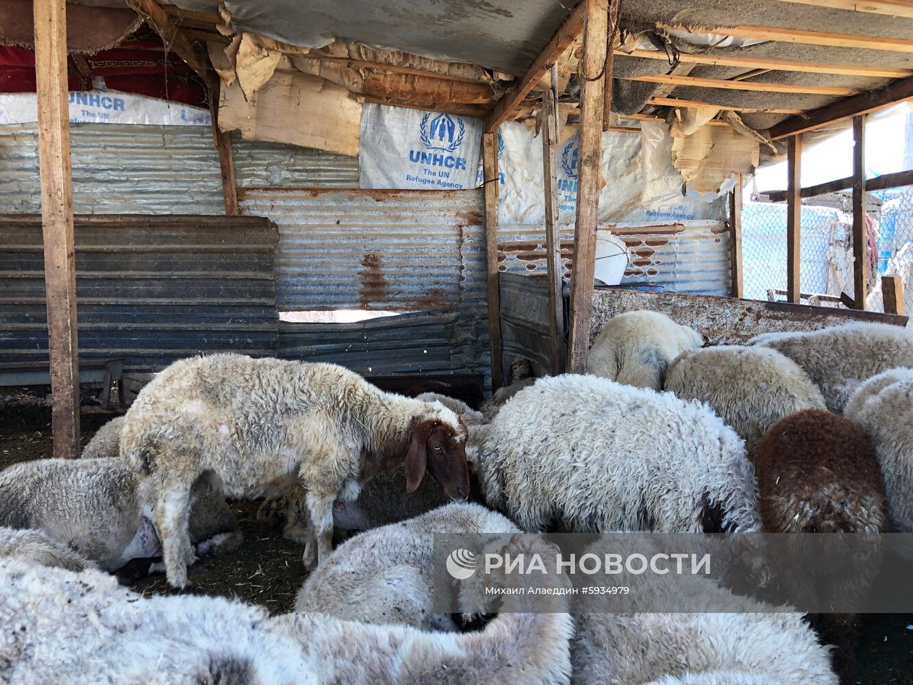 Лагерь сирийских беженцев на берегу реки Литани в Ливане