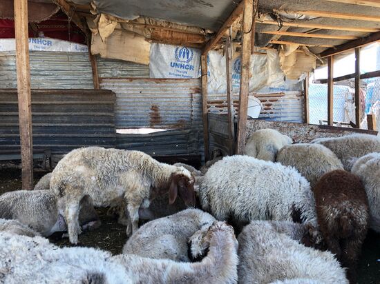 Лагерь сирийских беженцев на берегу реки Литани в Ливане