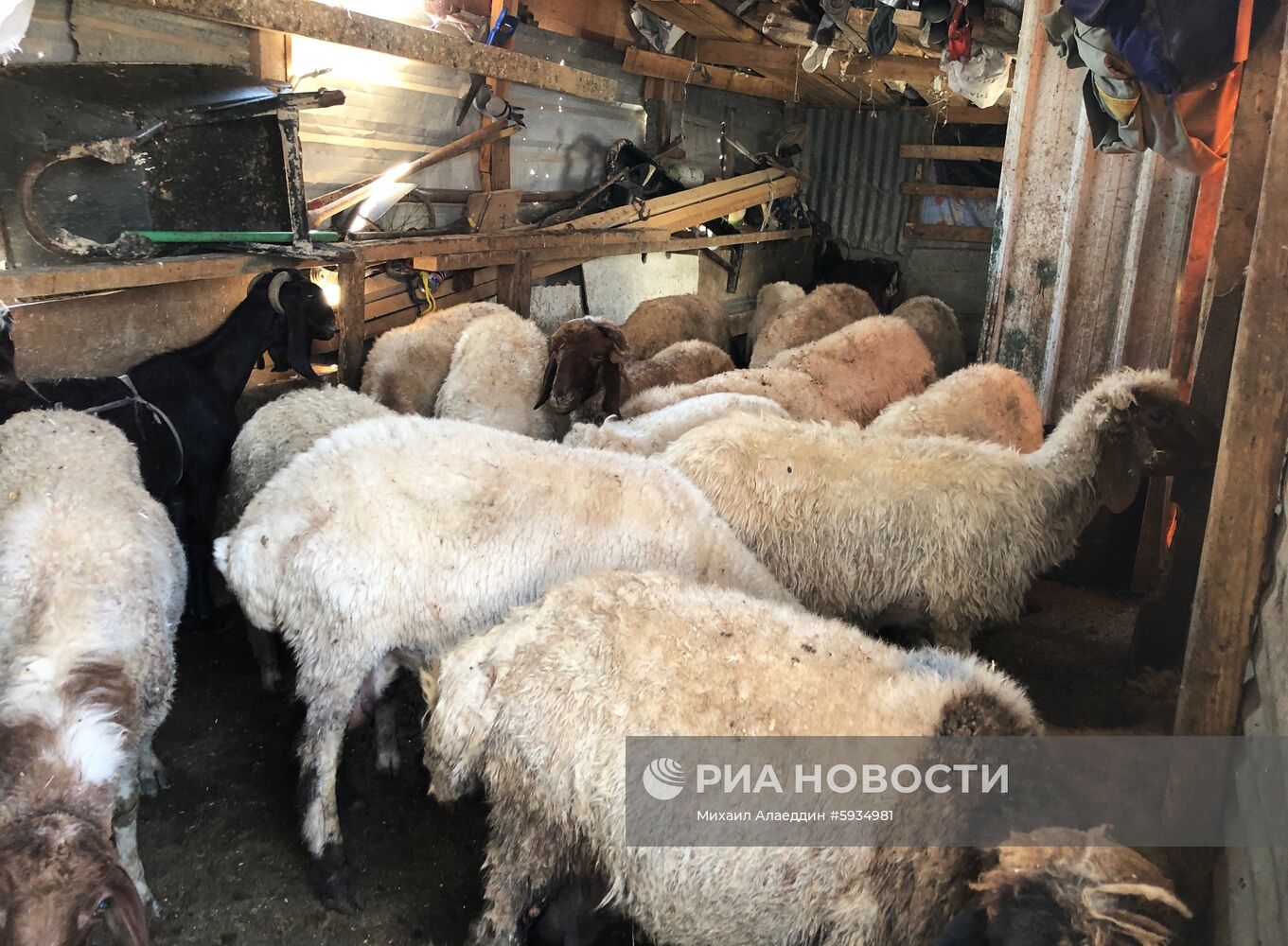 Лагерь сирийских беженцев на берегу реки Литани в Ливане