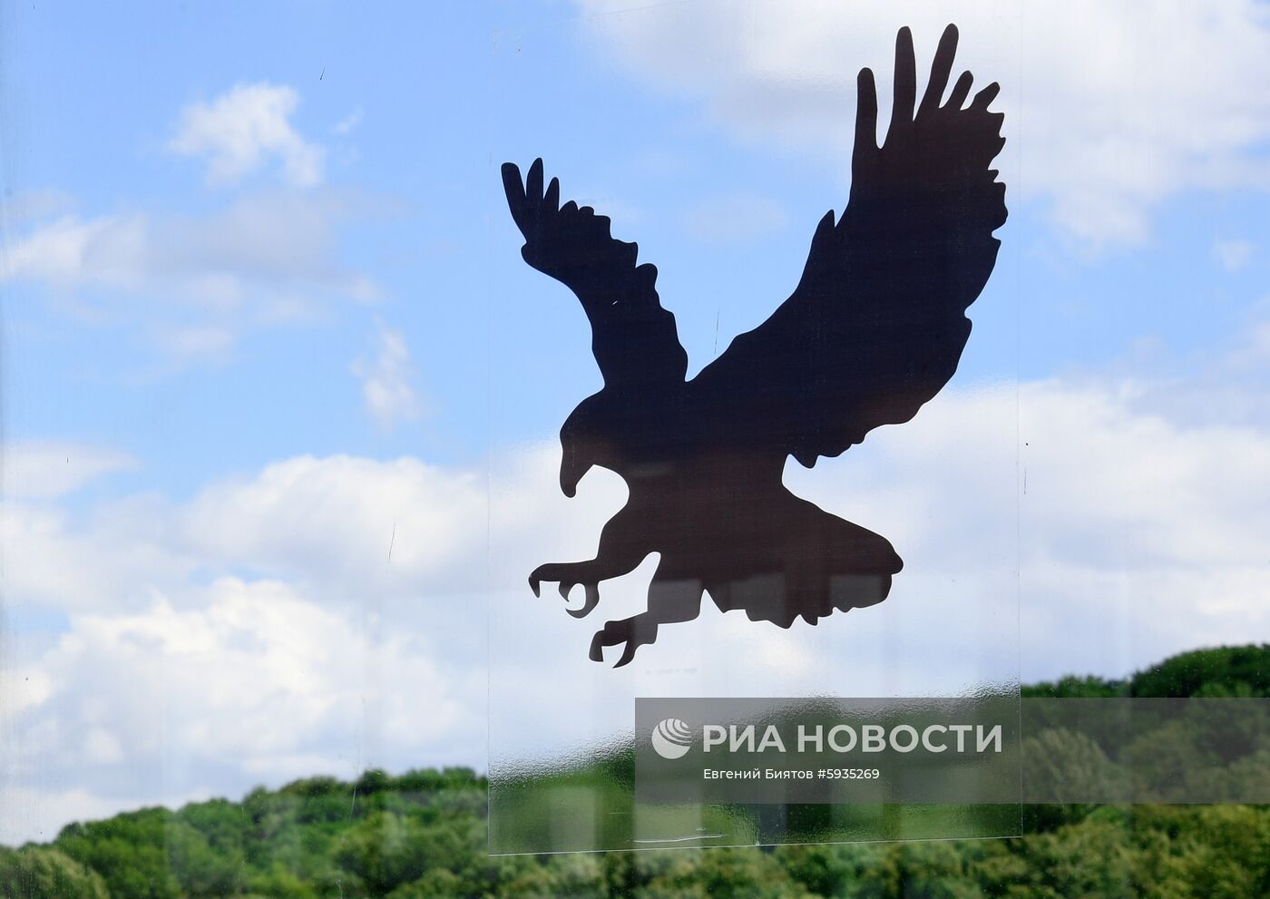 Наклейки для отпугивания птиц появились на стеклах вестибюлей метро
