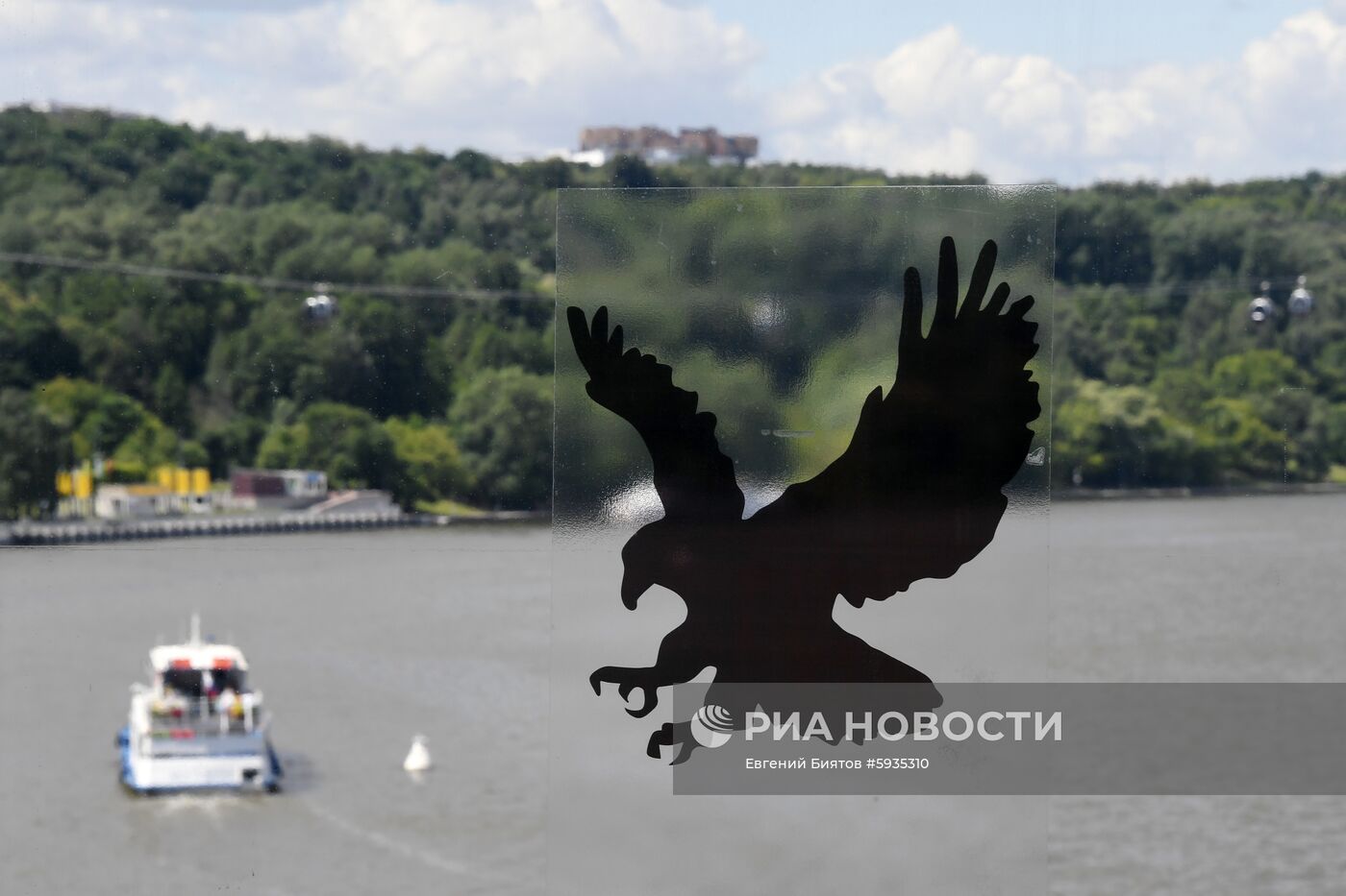 Наклейки для отпугивания птиц появились на стеклах вестибюлей метро