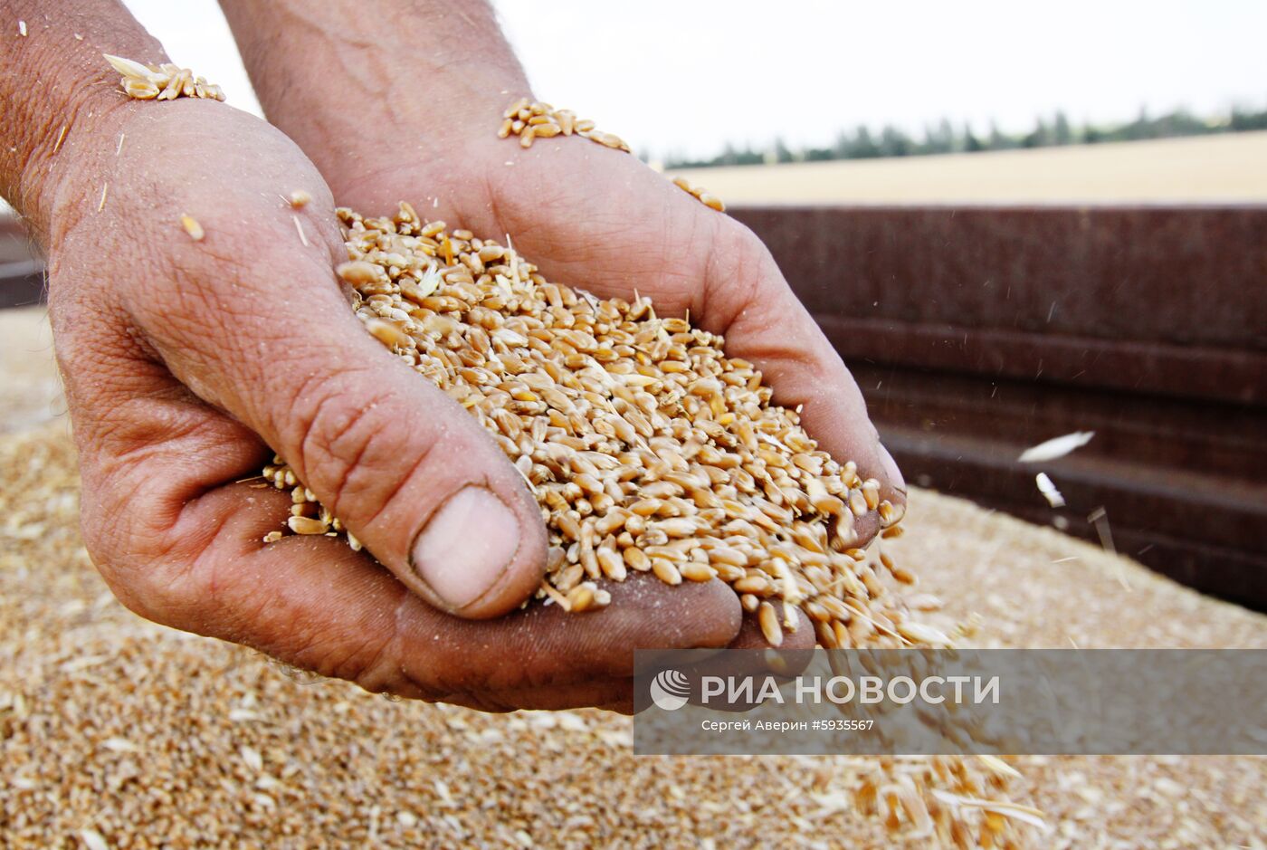 Уборка зерновых в Донецкой и Луганской областях