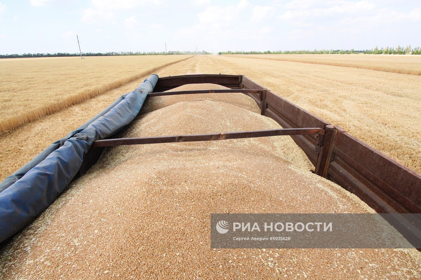 Уборка зерновых в Донецкой и Луганской областях